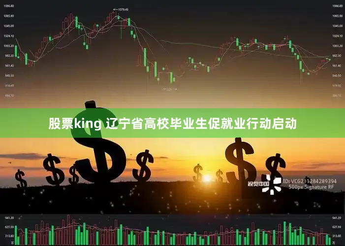股票king 辽宁省高校毕业生促就业行动启动