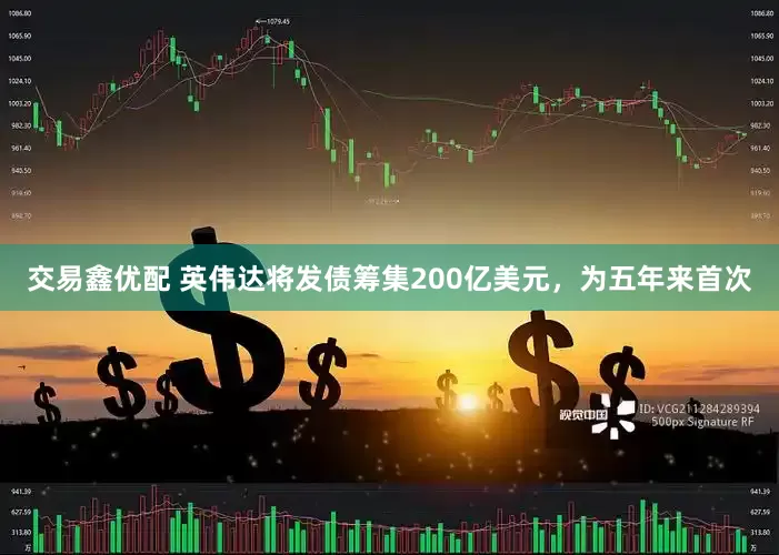 交易鑫优配 英伟达将发债筹集200亿美元，为五年来首次